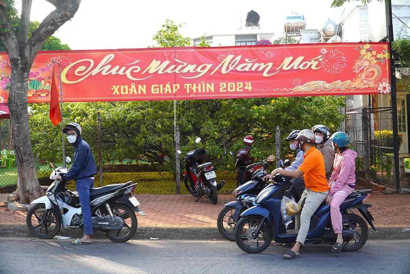 View - 	Cây mai vàng tán khổng lồ nổi tiếng ở Đồng Nai, giá tiền tỷ