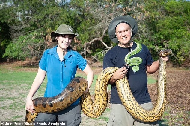 Tan muc tran Anaconda khung 200 kg bat ngo lo dien o Amazon-Hinh-8