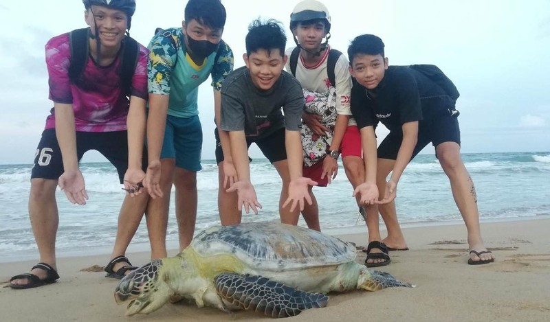 Ca voi cung loat “quai ngu” khung dat bo bien Viet Nam-Hinh-4