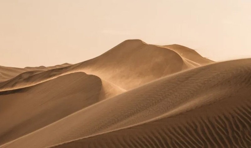 Giai ma bi an con cat sao o sa mac Sahara-Hinh-10