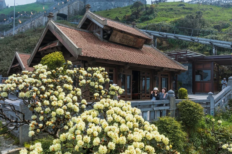 Me man ngam rung hoa do quyen bung no ruc ro tu dinh Fansipan-Hinh-4