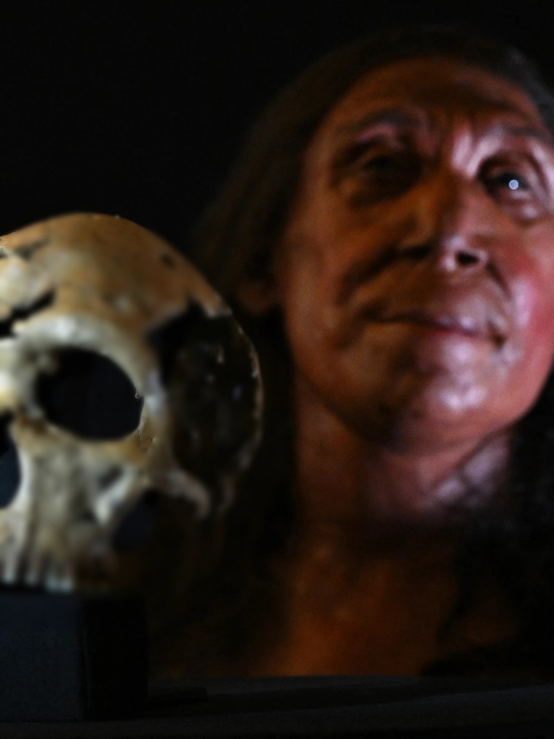 Phuc dung chan dung nguoi phu nu Neanderthal co xua, ngo ngang dung mao-Hinh-4