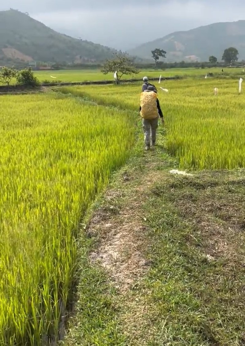 Kham pha dinh nui thieng Brah Yang o cao nguyen Di Linh