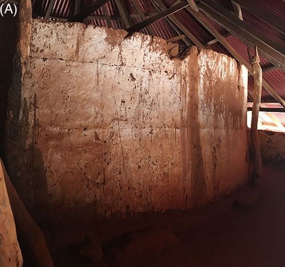 Phat hien soc trong mo co hoang gia o Benin-Hinh-3