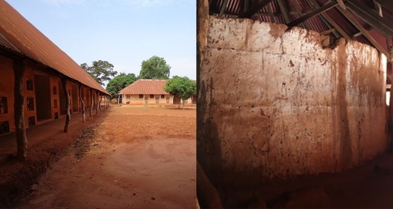 Phat hien soc trong mo co hoang gia o Benin-Hinh-7