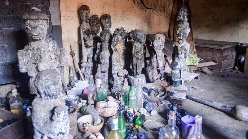 Phat hien soc trong mo co hoang gia o Benin