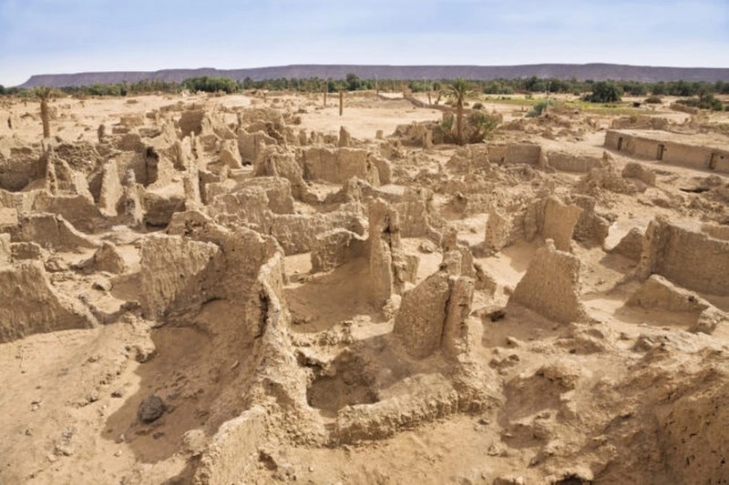 Bi quyet sinh ton o sa mac Sahara cua nen van minh khong can mua-Hinh-11