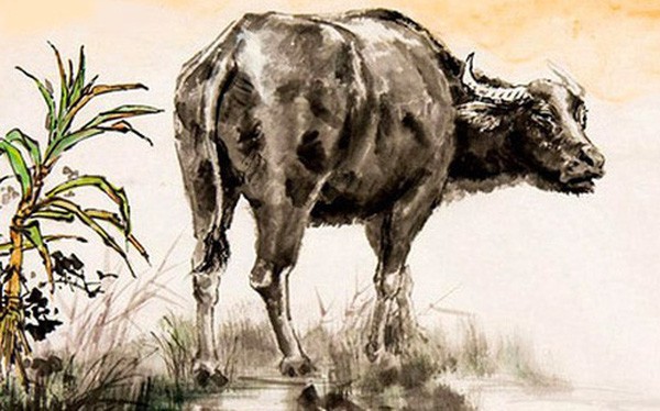 Dự đoán ngày mới 12/7/2024 cho 12 con giáp: Tý chông gai, Ngọ liều lĩnh - Hình 2 Du doan ngay moi 12/7/2024 cho 12 con giap: Ty chong gai, Ngo lieu linh-Hinh-2