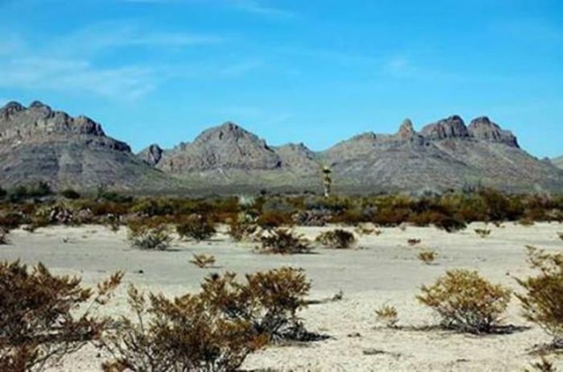 Loat bi an kho giai o 'Vung im lang' cua Mexico-Hinh-3