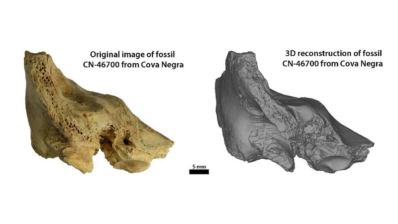 Giai ma truong hop dau tien mac hoi chung Down o nguoi Neanderthal-Hinh-2