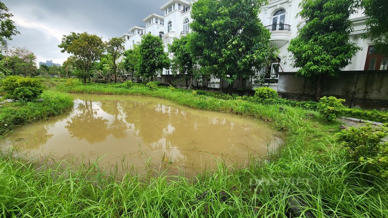 Biet thu trieu USD o khu “nha giau” Ha Noi ngap lut-Hinh-7