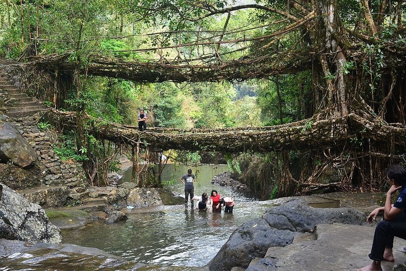 Giai ma bat ngo ve su hinh thanh cua nhung cay cau 'song'-Hinh-2