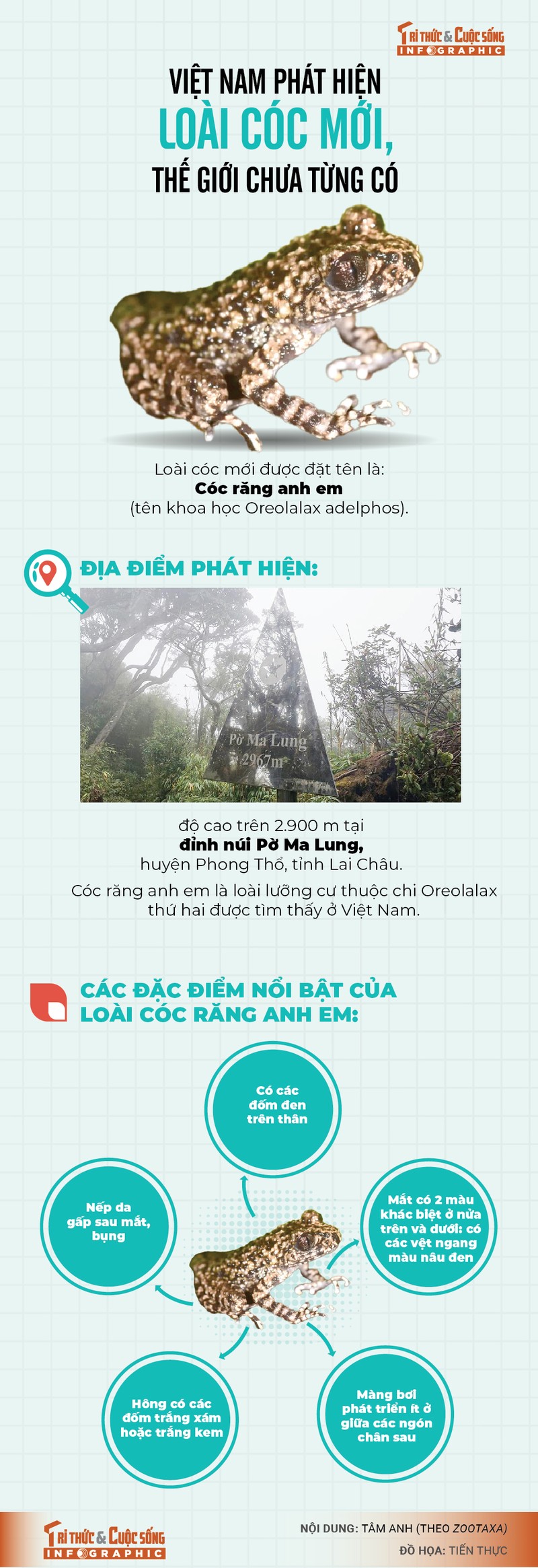 [Infographic] Loai coc moi phat hien o Viet Nam