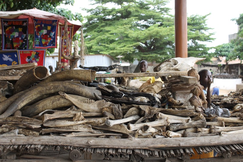 Nhung dia diem ma quai khong danh cho nguoi yeu tim-Hinh-5