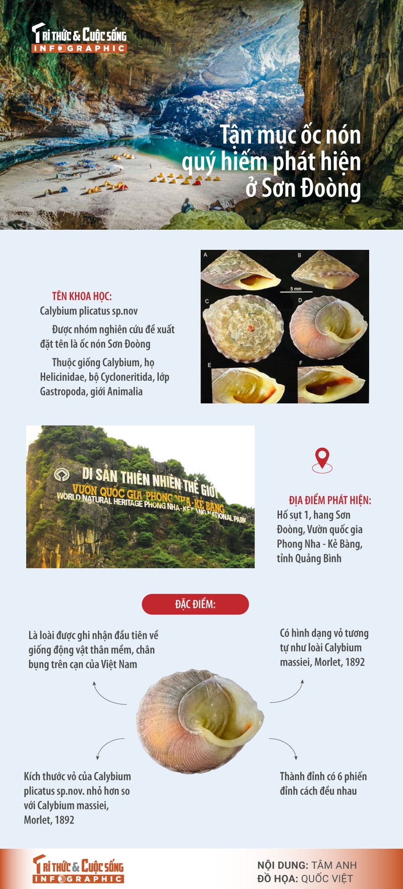 [INFOGRAPHIC] Tan muc oc non quy hiem phat hien o Son Doong