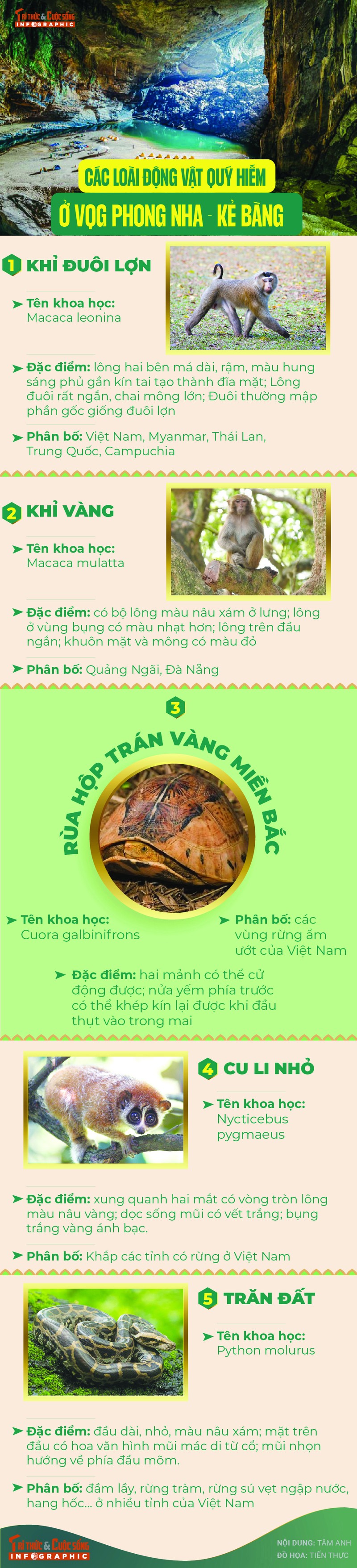 [INFOGRAPHIC] Cac loai dong vat quy hiem o VQG Phong Nha - Ke Bang