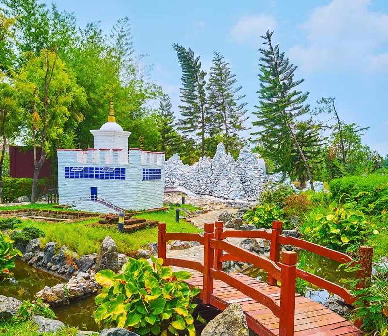 La lung loai cay luon nghieng ve xich dao, mai chua co loi giai-Hinh-7