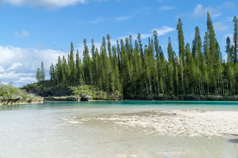 La lung loai cay luon nghieng ve xich dao, mai chua co loi giai-Hinh-8