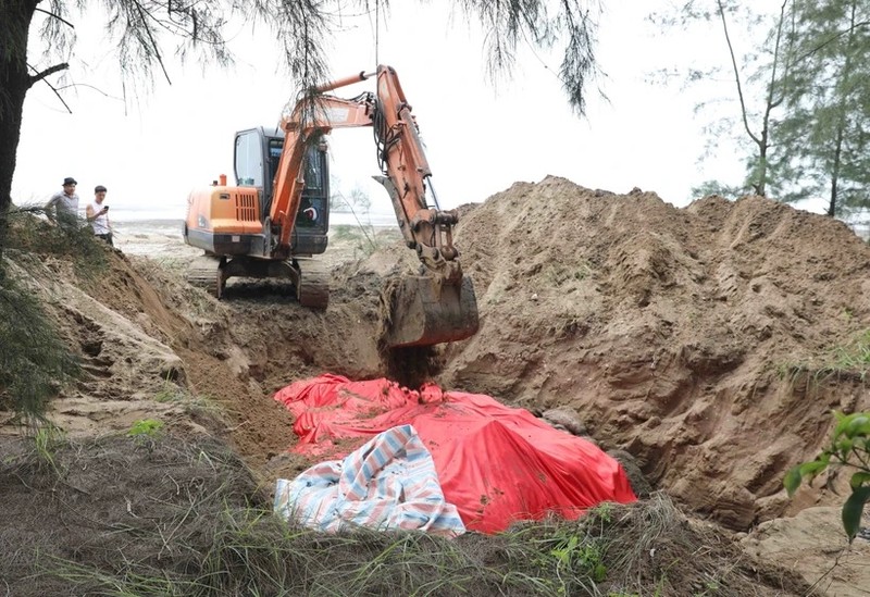 Ca Ong 50kg va loat ca voi khung tung dat bo bien Viet Nam-Hinh-5