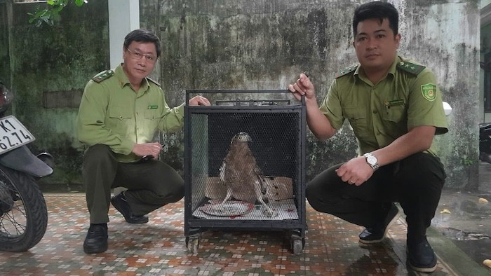 Top dong vat di lac o Viet Nam... toan loai 