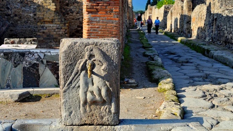 Phat hien bau vat o Pompeii chua bi mat 'dong troi' cua nguoi xua-Hinh-8