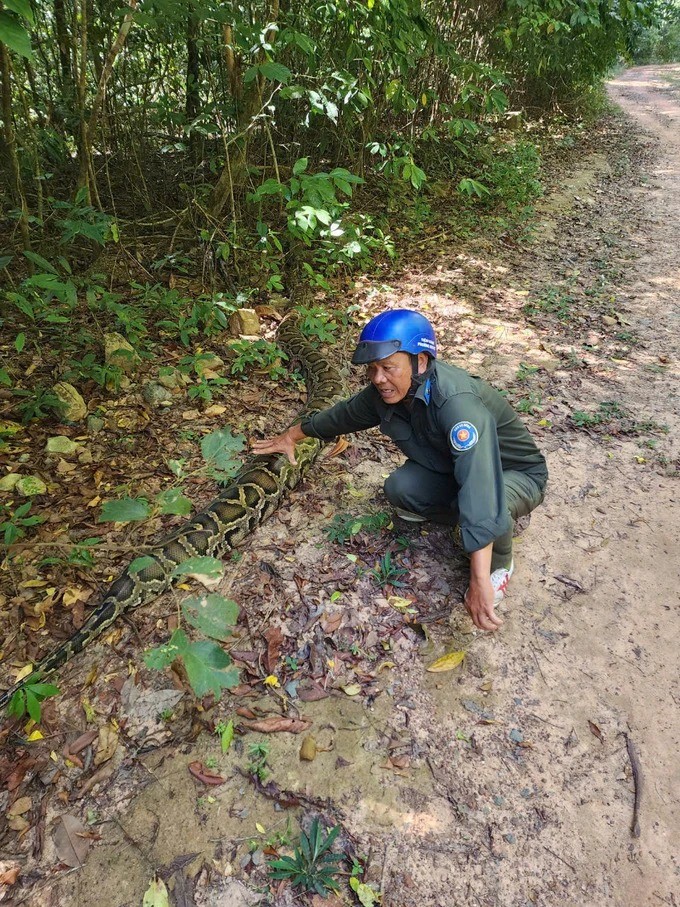 Hoang hon loat tran khung xuat hien o Viet Nam, dan un un den ngam