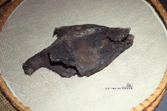 Tìm thấy đàn cá khô trong mộ cổ, chuyên gia phán 'báu vật' - Hình 4 Tim thay dan ca kho trong mo co, chuyen gia phan 'bau vat'-Hinh-4