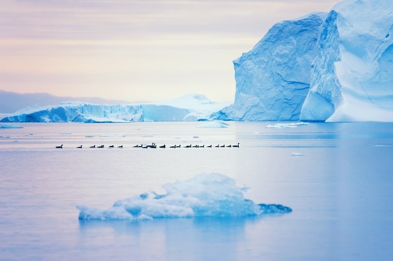 Bang tan, “kho bau” khong lo o dao Greenland dan lo dien-Hinh-3