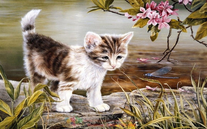 Toi tap van may thang 5, 4 tuoi cau gi duoc nay, giau to-Hinh-6
