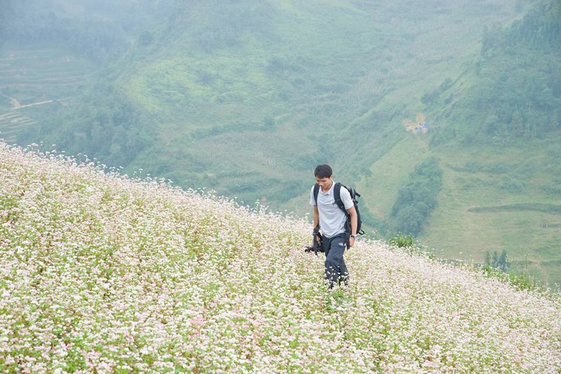 Ngam hoa tam giac mach no som o Bac Ha, Lao Cai-Hinh-3