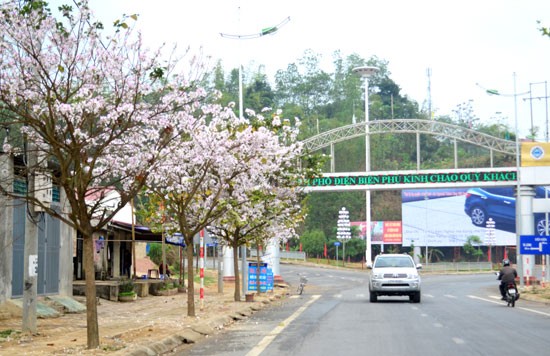 Dep me hon nhung dia diem ngam hoa ban tuyet nhat VN-Hinh-5