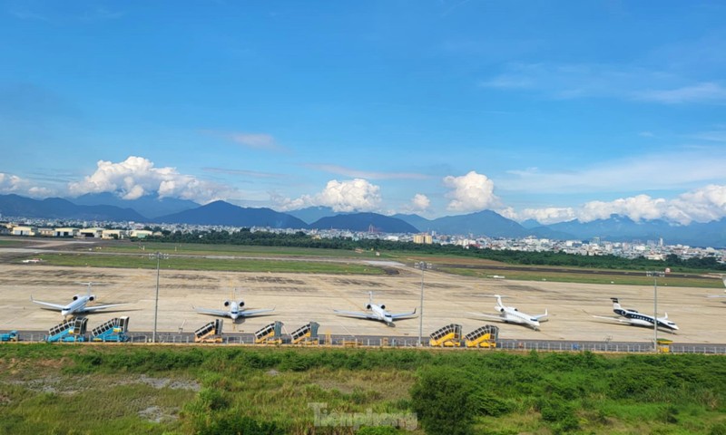 Nguoi dan Da Nang thich thu ngam 'chuyen co ty phu' tu san thuong-Hinh-4