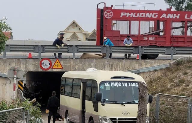 Phat hien thi the nguoi bien dang tren cao toc Ha Noi - Hai Phong-Hinh-2