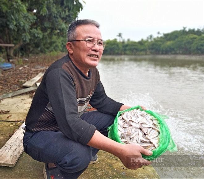 Hai Duong: Nuoi ca chinh nhan tenh, moi nam lai nua ty dong-Hinh-12