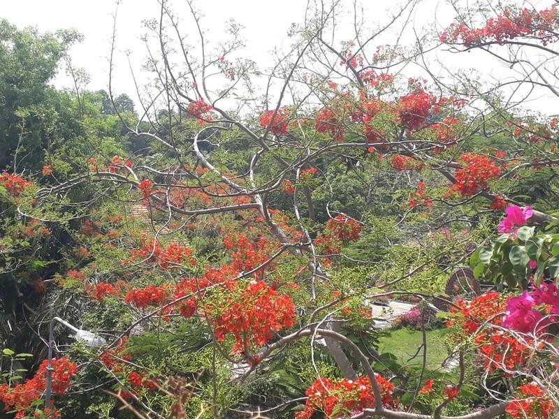 Ben trong me cung hang Tuc Dup cua cao nguyen da mien Tay-Hinh-3