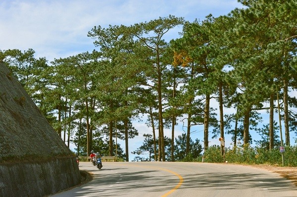 Da Lat binh yen qua nhung con duong pho nui-Hinh-10