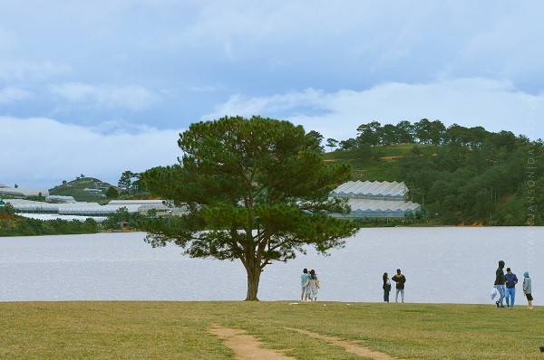 Da Lat binh yen qua nhung con duong pho nui-Hinh-11