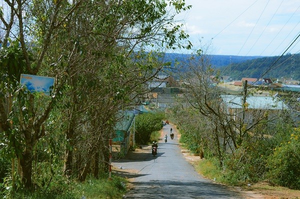 Da Lat binh yen qua nhung con duong pho nui-Hinh-5