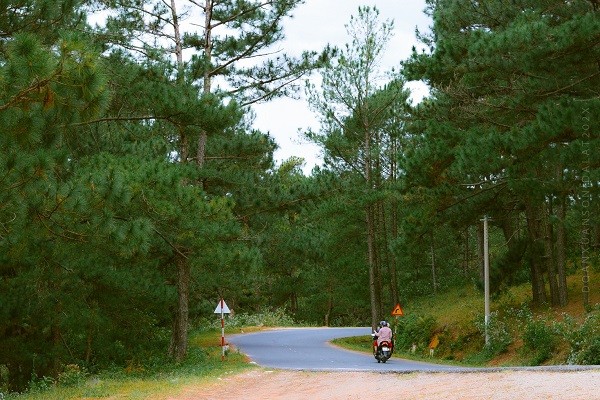 Da Lat binh yen qua nhung con duong pho nui-Hinh-8