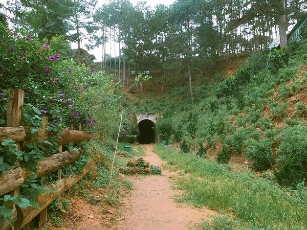 Da Lat binh yen qua nhung con duong pho nui-Hinh-9