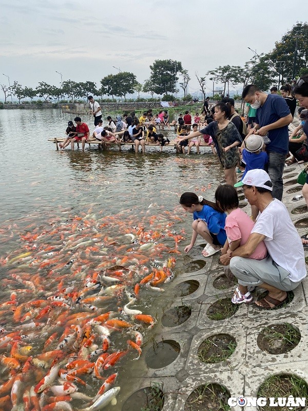 Gioi tre Ha Noi thich thu voi hang nghin chu ca Koi Ho Tay-Hinh-10