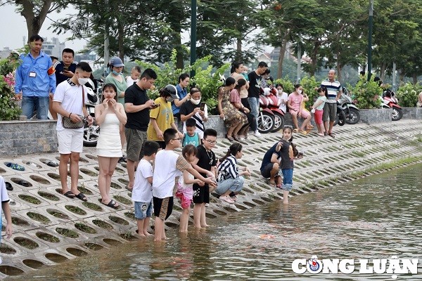 Gioi tre Ha Noi thich thu voi hang nghin chu ca Koi Ho Tay-Hinh-2