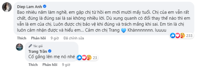 Trang Tran ung ho Diep Lam Anh: 'Chia cat tinh mau tu la dieu ac doc nhat'-Hinh-3