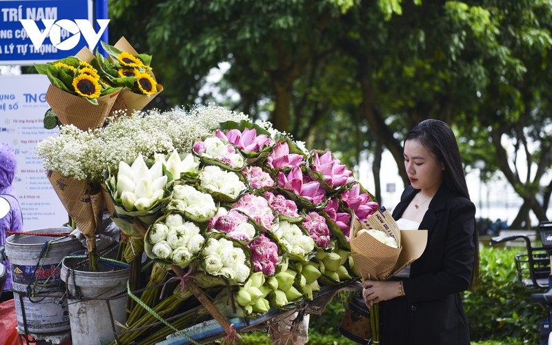 Ha Noi vao thu, gioi tre do xo chup anh voi hoa tren pho-Hinh-13