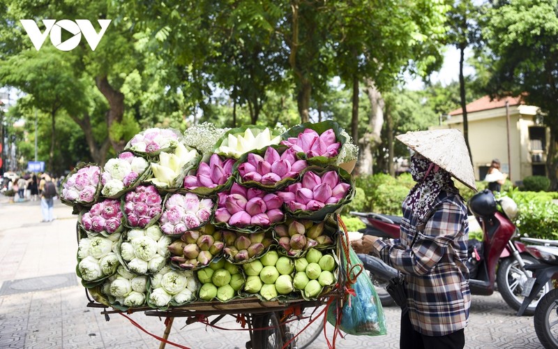 Ha Noi vao thu, gioi tre do xo chup anh voi hoa tren pho-Hinh-14