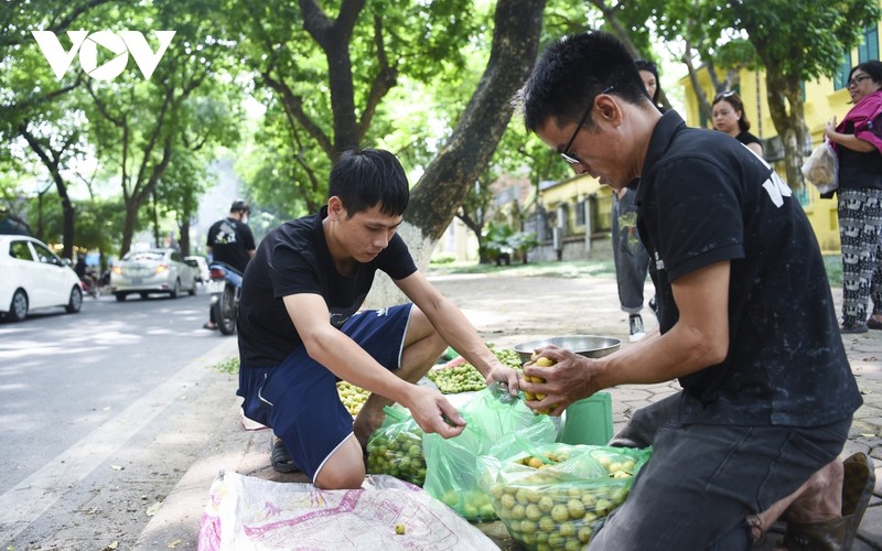 Ha Noi vao thu, gioi tre do xo chup anh voi hoa tren pho-Hinh-21