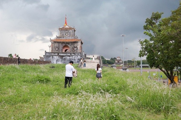 Mua hoa co lau dep nao long tren Thuong thanh Hue-Hinh-12