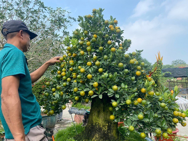 Hanoi's hot labor has many qualities combined with hot spots, selling hundreds of millions of dong/goc-Figure-4