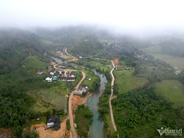 Rung che 'tien vua' tram tuoi duoc bao ve nghiem ngat o Binh Dinh