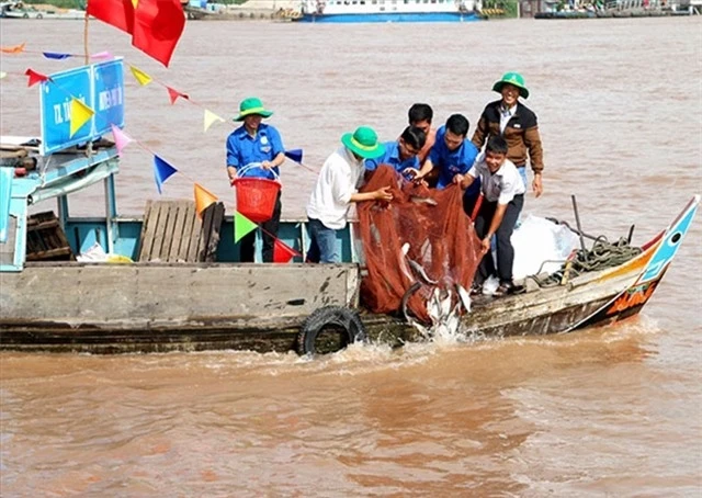 Con song ngan nhat Viet Nam la thuy phan cua loai ‘quai ngu’ quy hiem-Hinh-2